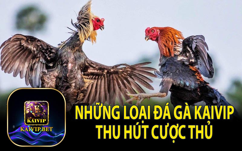 Một Vài Thể Loại Đá Gà Thu Hút Cược Thủ